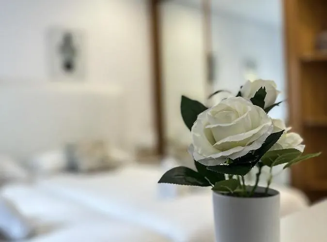 Olas De Ondarreta - Local Rentss سان سيباستيان