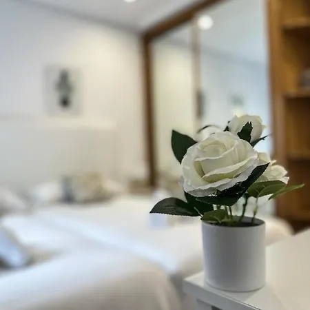 Olas De Ondarreta - Local Rentss San Sebastián